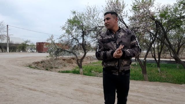 Кашкадарео 2021 11 март Касби туман Касби Курилиш шфир сминт стирапила НАРХЛАРИ 97 383 35 38 смотреть онлайн