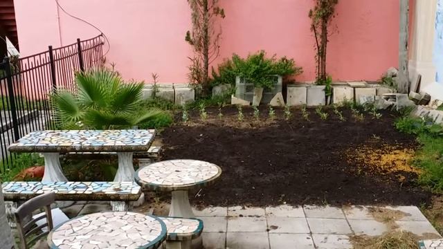 Kale Cafe - Omar Brown in the Courtyard - 15 July 2014 смотреть онлайн