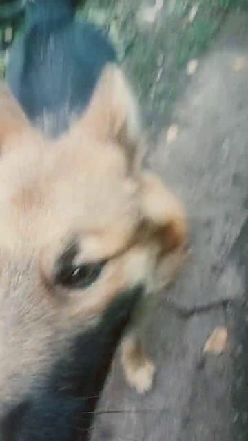 9 октября 2022 г. смотреть онлайн