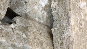 Домашняя халва из подсолнечника # Подробное видео с рецептом