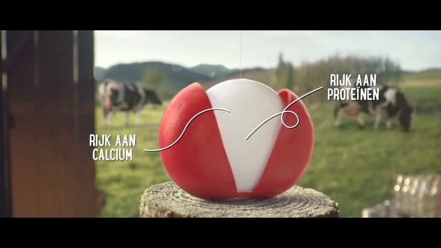 Bumper Mini Babybel 6s Nutrition NL смотреть онлайн