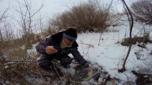 Окунь горбач  1.55 кг.   Исполнил Мартыновский рыболов Тищенко Сергей Алексеевич. Мой Брат!