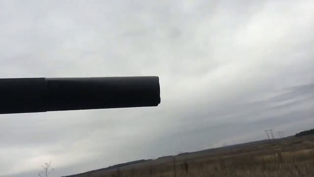 РОЛИК 1 Сайга смотреть онлайн