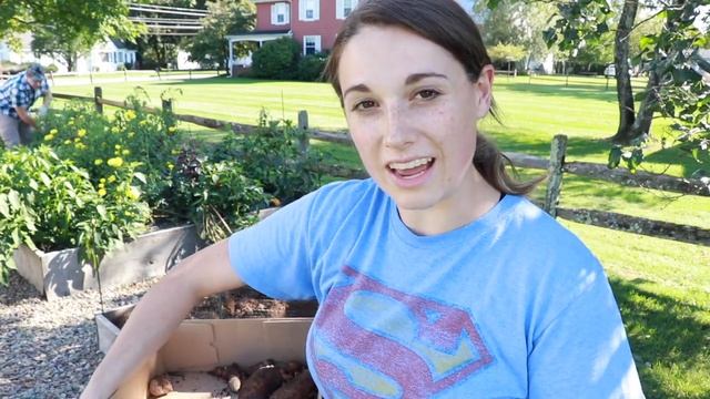 Winter Prep - Garden Clean Up смотреть онлайн