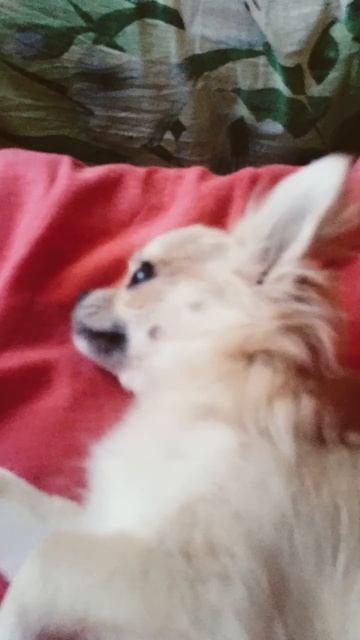 20 февраля 2024 г. смотреть онлайн