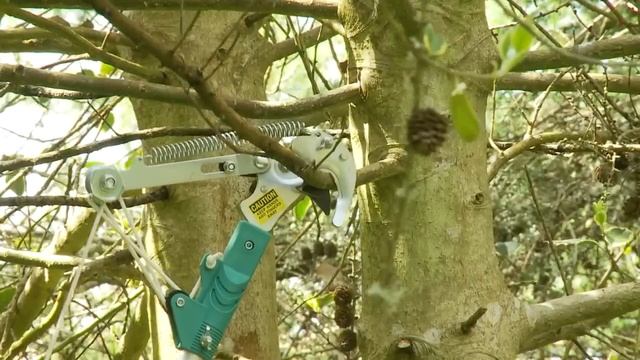 2-In-1 Tree Pruner And Saw смотреть онлайн