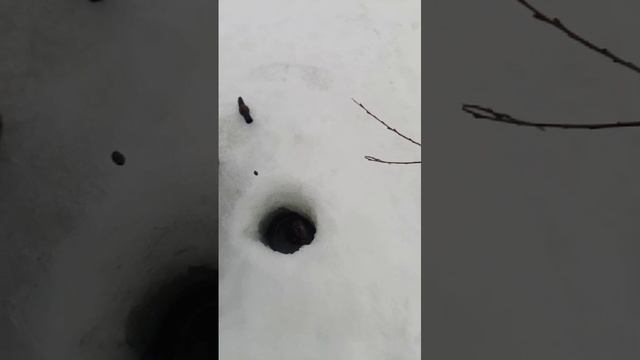 Февральская рыбалка продолжение