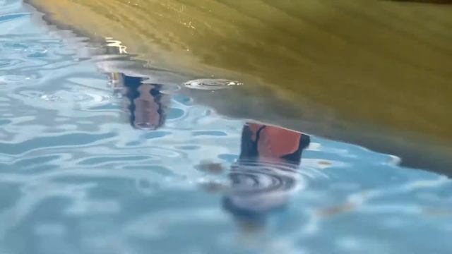 Nestle Pure Life Uzbekistan (Russian ver.) смотреть онлайн