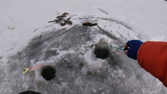 Ротан со льда. Ловя ротана на блесну и на мормышку. Зимняя рыбалка на ротана по первому льду. смотреть онлайн