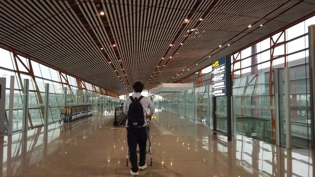 【Airport Tour】2023 How to Transit at Beijing Capital Airport (PEK) смотреть онлайн