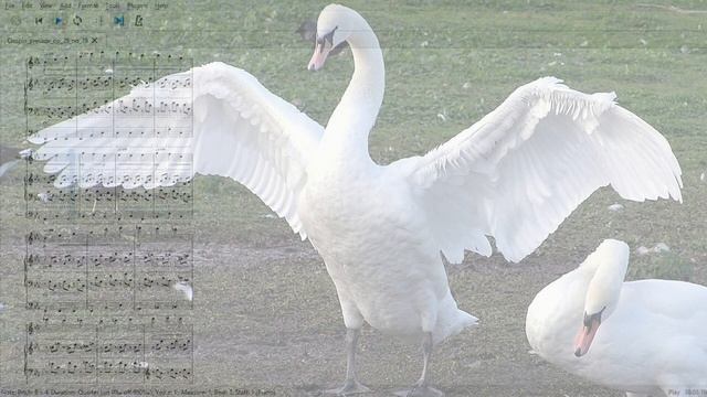 MuseScore 3.6 - Chopin Prelude op. 28 no. 19 смотреть онлайн