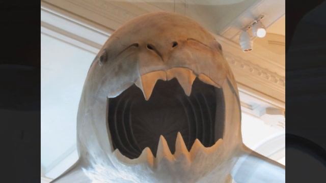 Dunkleosteus Documentary смотреть онлайн