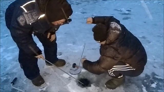 Первые утренние поимки со льда. Клёвое место, Верхний пруд. смотреть онлайн