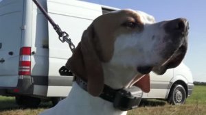 Страсть полей   Одержимые