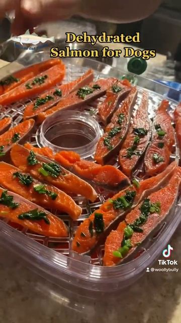 dehydrated salmon for dogs смотреть онлайн