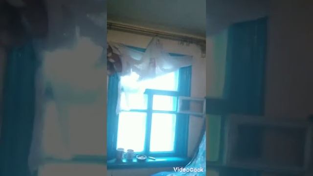 Ремонт Плиты смотреть онлайн