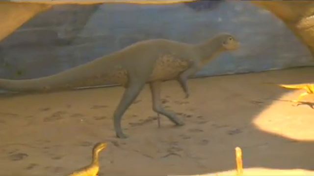 Winton Dinosaur Museum смотреть онлайн