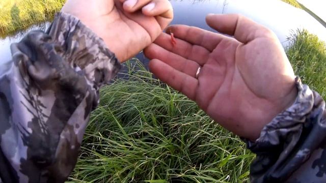 Скоротечная рыбалка на микроречке. смотреть онлайн