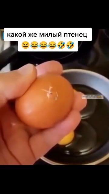 цыплята вылупились в холодильнике смотреть онлайн