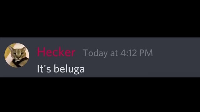 WHEN Beluga support T-Series.. смотреть онлайн