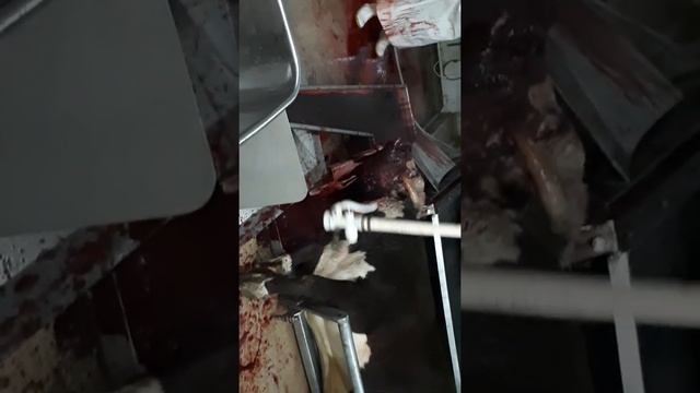 ШОК!!!!! Слабонервным лучше не смотреть. ТОРЕШ РАЗДЕЛАЛ 10 БЫКОА ЗА 30 МИН смотреть онлайн