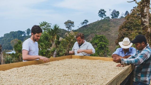 Introducing Bonaventure Coffee Project смотреть онлайн