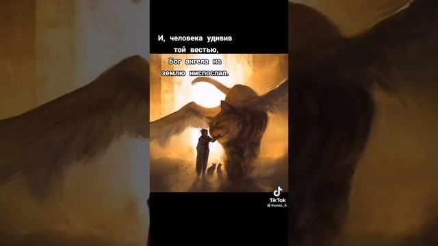коты ангелы наши смотреть онлайн