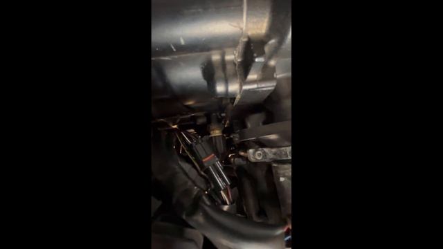 Suzuki gsf650 обслуживание мотоцикла после покупки смотреть онлайн