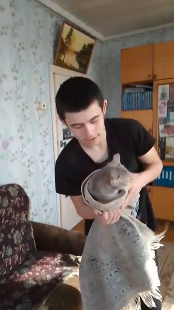 лайфхак что надо делать если кошка бегает по ночам смотреть онлайн