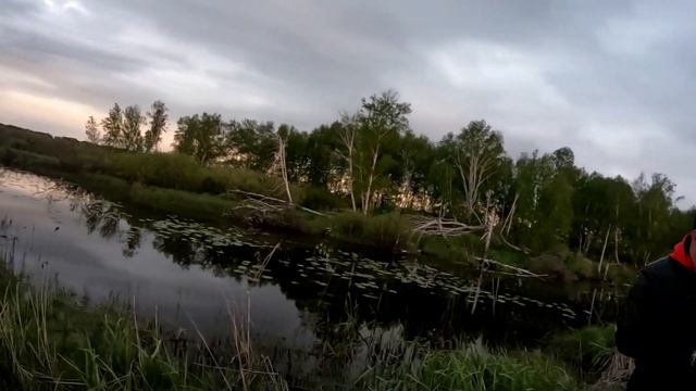 Супер рыбалка на лесной речке! ИСПЫТАЛ НОВЫЙ МУЛЬТ! Первые забросы мультом, первые ТРОФЕИ на закате! смотреть онлайн
