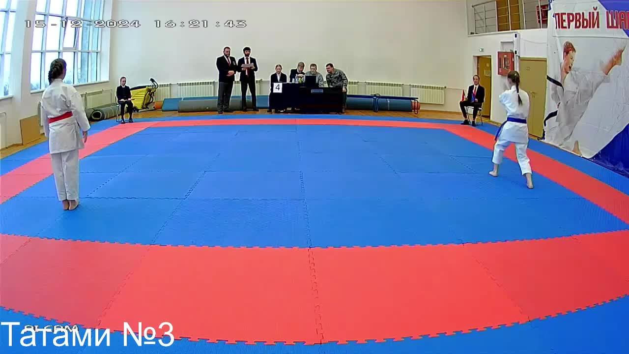 Татами № 4 Межрегиональный турнир по каратэ WKF 