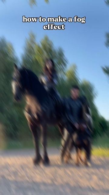 💨Dust fog effect on photo🐎 смотреть онлайн