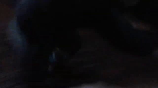 Как бороться с демоном 1часть смотреть онлайн