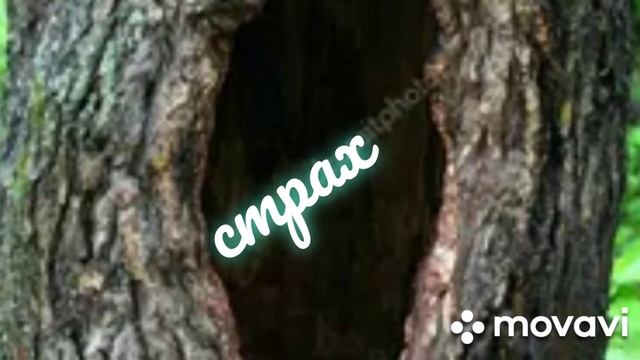 легенда о слепой меня смотреть онлайн