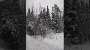 №69 Выравнивание и гармонизация плазматических энергий