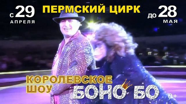 «Бонобо» смотреть онлайн