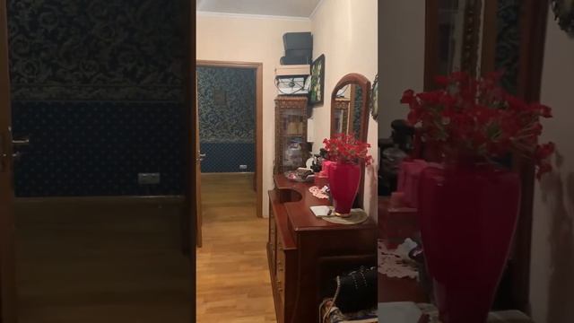 ул.Ново-Спортивная, д.10 смотреть онлайн