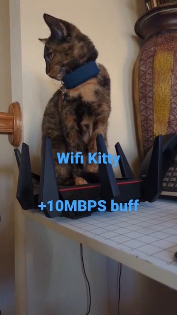 How to buff your wifi смотреть онлайн