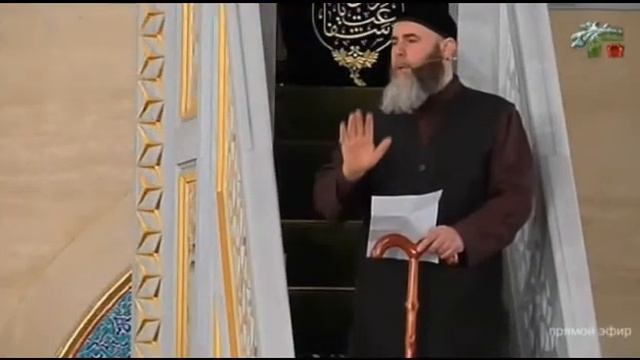 Тоба дар смотреть онлайн