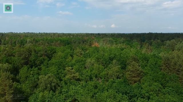 Природа РОССИИ! Прекрасная подборка !