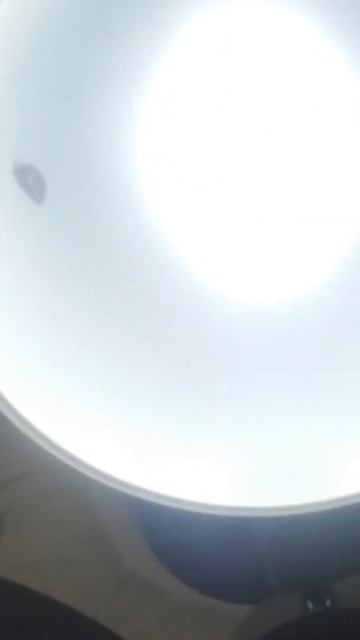 Сидит! МОЛЬ! смотреть онлайн