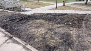 Велокурьеры уничтожают газон