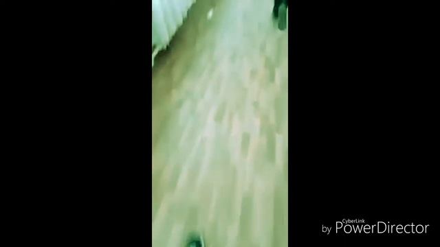 Кабан хоче підлогу смотреть онлайн