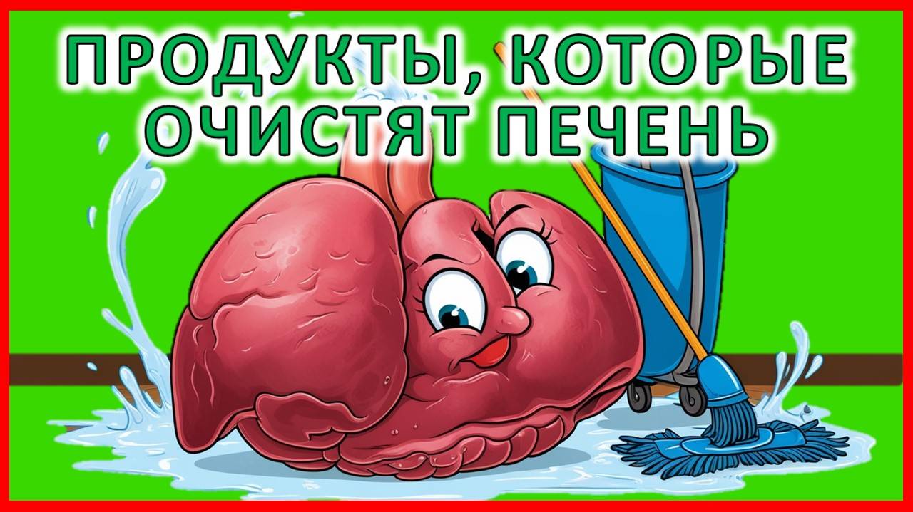 16 продуктов, которые очистят вашу печень: еда для здоровья и детокса