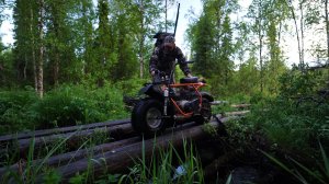 Пеший поход на таёжную речку за хариусом.