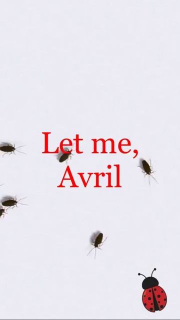 Ladybug Facebook Ad смотреть онлайн