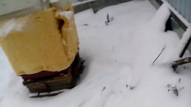 пчеловодство зимовка продолжается смотреть онлайн