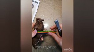 Олимпийский мишка