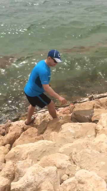 Отпускаю ската обратно в Арабский залив смотреть онлайн