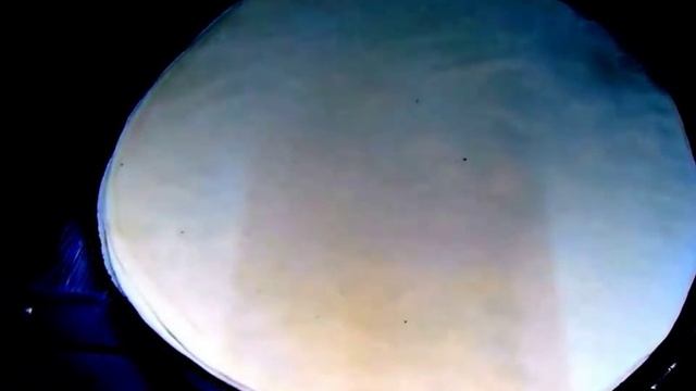 Samosa Patti Recipe by Lively Cooking смотреть онлайн